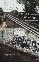 A Lovely Wreckage B089758KTT Book Cover
