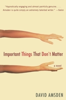 Important Things That Don't Matter: A Novel 0060513888 Book Cover
