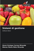 Sistemi di gestione (Italian Edition) 6208207509 Book Cover