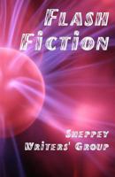 Flash Fiction 0995571368 Book Cover