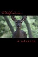 Wildlife at One 1727634969 Book Cover