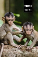 Monkey Ape Week Planner Weekly Organizer Calendar 2020 / 2021 - Two Little Friends: Cute Wildlife Animal Pet Bullet Journal Notebook Diary in 6" x 9" Inch Pocket Size 167563937X Book Cover