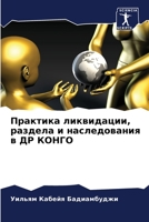 Практика ликвидации, раз 6205792257 Book Cover