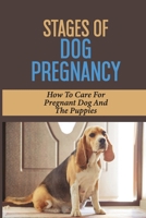 Stages Of Dog Pregnancy: Ho To Care For Pregnant Dog And The Puppies: Pregnant Dog Belly Dropped null Book Cover