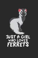 Frettchen Notizbuch: Frettchen Notizbuch für Liebhaber / Notizheft / Notizblock A5 (6x9in) Dotted Notebook / Punkteraster / 120 gepunktete Seiten (German Edition) 1671309820 Book Cover