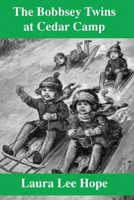 The Bobbsey Twins at Cedar Camp 0448080141 Book Cover