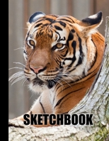 Sketchbook: Tiger Cover Design - White Paper - 120 Blank Unlined Pages - 8.5" X 11" - Matte Finished Soft Cover 1704368812 Book Cover