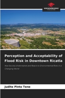 Perception and Acceptability of Flood Risk in Downtown Ricatla 6203341045 Book Cover