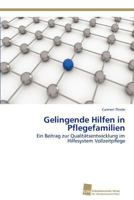 Gelingende Hilfen in Pflegefamilien 3838127838 Book Cover