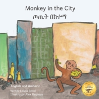 Monkey In The City: How to Outsmart An Umbrella Thief in Amharic and English null Book Cover