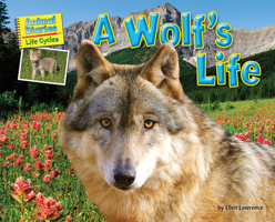 A Wolf S Life 1642807354 Book Cover