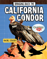 Bringing Back the California Condor 0778768252 Book Cover