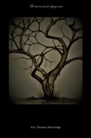 The Last Words of a Dying Muse 169808904X Book Cover