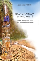 Eau, capitaux et pauvreté: Dans le versant sud des monts Bambouto (Harmattan Cameroun) (French Edition) 2343048991 Book Cover