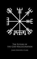 The Future of the God-Hallucination: Reflections on the Nietzschean Lifestyle-Brand 1542715059 Book Cover