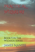 Practical Wizardry: Book 5 in The Wizards Series B0B319NW2Z Book Cover