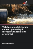 Valutazione del rischio cancerogeno degli idrocarburi policiclici aromatici (Italian Edition) 6209772773 Book Cover