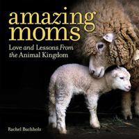 Amazing Moms: Love and Lessons From the Animal Kingdom 142621667X Book Cover