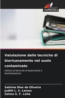 Valutazione delle tecniche di biorisanamento nel suolo contaminato 6209138993 Book Cover