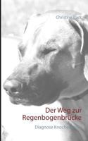 Der Weg zur Regenbogenbrücke: Diagnose Knochenkrebs 3744820882 Book Cover