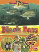 Black Bass (Let's Go Fishing) B0DYY3HTNF Book Cover