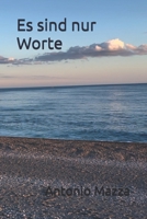 Es sind nur Worte (German Edition) B0DTQ1SPN3 Book Cover