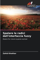 Spalare le radici dell'interfaccia fuzzy (Italian Edition) 6208561949 Book Cover