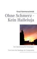Ohne Schmerz - Kein Halleluja: Der Jakobsweg für Einsteiger. Von Leon bis Santiago de Compostela 3848213869 Book Cover