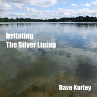 Irritating the Silver Lining 1803694270 Book Cover