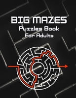 Big Mazes Puzzles Book For Adults: Challenge and Fun for your Brain, Square Mazes Level Two-Player Mazes Books for Beginner to Expert, Maze Puzzle Book for Adults B08SB8MRQ1 Book Cover