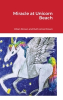 Miracle at Unicorn Beach 1716219132 Book Cover