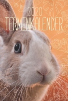 Terminkalender 2020: Kaninchen Kalender 2020 - Dein Hasen Taschenkalender mit Wochenplaner und Monatskalender 1 Woche 2 Seiten, To Do Listen, ... Geschenkidee (Schreibwaren) (German Edition) 171326675X Book Cover
