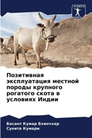 Позитивная эксплуатаци&# 6207240308 Book Cover