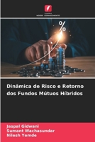 Dinâmica de Risco e Retorno dos Fundos Mútuos Híbridos (Portuguese Edition) 6630286383 Book Cover