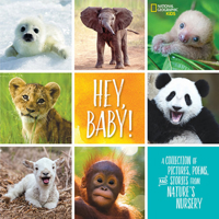 Hey, Baby!: A Collection of Pictures, Poems, and Stories from Nature's Nursery 1426329326 Book Cover
