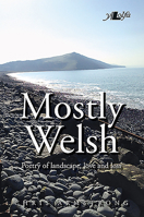 Mostly Welsh 1784617180 Book Cover