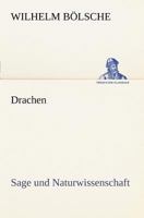 Drachen 3847236598 Book Cover