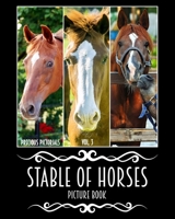Precious Pictorials Stable Of Horses Picture Book Vol. 03: Horse Photo Book Horses Picture Book For Adults No Words Book 50 Color Images 8"x10" Matte Cover Finish (Volume 3) 1981831525 Book Cover