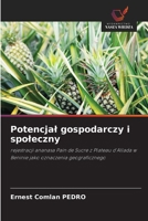 Potencjal gospodarczy i spoleczny (Polish Edition) 6208296552 Book Cover