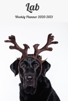 Lab Weekly Planner 2020-2021: Labrador Retriever Lover Notebook Gift, Two Year Weekly Planner With 2 Year Calendar 2020 2021, Size 6 X 9 Inch 167344217X Book Cover