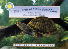 Box Turtle At Silver Pond Lane (Smithsonian Backyard)