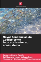 Novas tendências do Zeólito como fotocatalisador no ecossistema 620464307X Book Cover