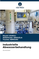 Industrielle Abwasserbehandlung: Kursnotizen 6204131273 Book Cover