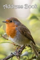 Address Book: Robin - Bespoke, personalised address book. Contact us if you would like your own image, name or other text on a book. 1695320867 Book Cover