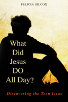 What Did Jesus Do All Day?: Discovering the Teen Jesus 0819227935 Book Cover