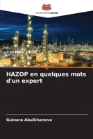 HAZOP en quelques mots d'un expert (French Edition) 6209011829 Book Cover