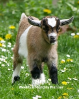2020 Weekly and Monthly Planner: Goat Kid Monthly Calendar with U.S./UK/ Canadian/Christian/Jewish/Muslim Holidays- Calendar in Review/Notes 8 x 10 in.-Nature Animals Baby Goat 1654778788 Book Cover