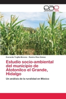 Estudio socio-ambiental del municipio de Atotonilco el Grande, Hidalgo 6202242868 Book Cover