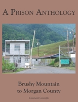 A Prison Anthology: Brushy Mountain to Morgan County 1735450723 Book Cover