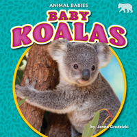Baby Koalas 1647474701 Book Cover